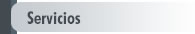Servicios