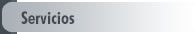 Servicios