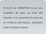 El &eacute;xito de TAMERANI no es una cuesti&oacute;n de azar, es fruto del estudio y la implantaci&oacute;n de todo un sistema de trabajo, asentado sobre fuertes pilares.